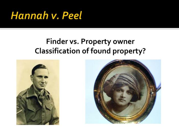 Hannah v peel case brief