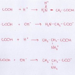 Draw an electron-dot structure for glycine