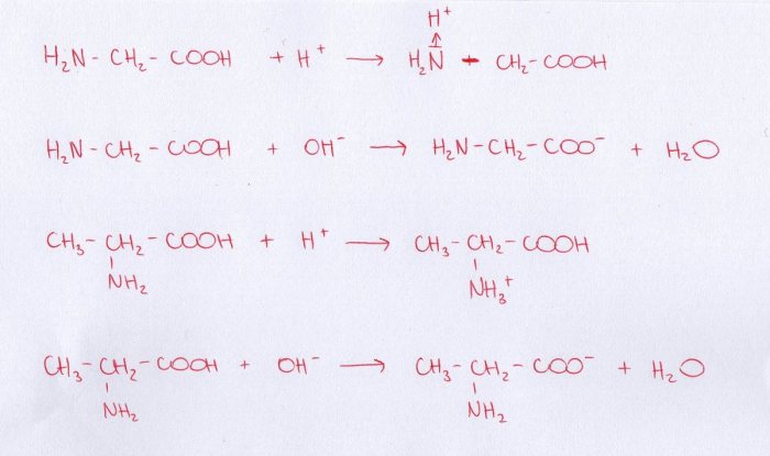 Draw an electron-dot structure for glycine