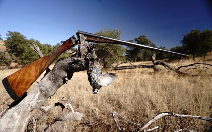 Best chokes for quail hunting