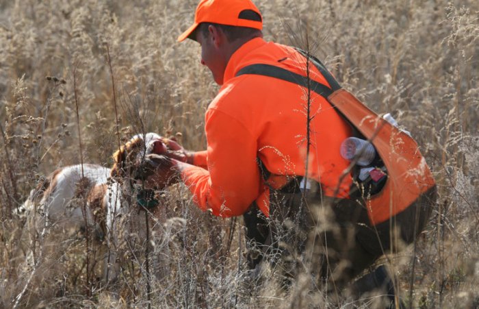 Quail pheasant loads choke chokes heartlandlodge