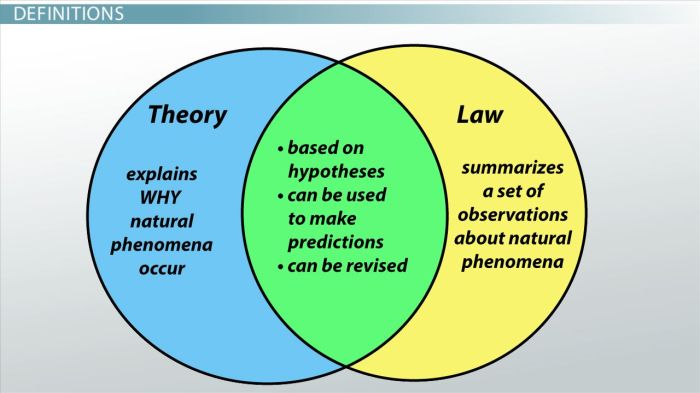 Law and theory venn diagram