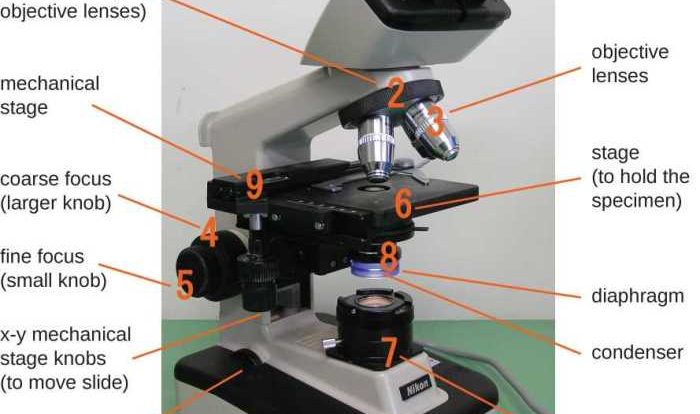 Openstax microbiology test bank pdf