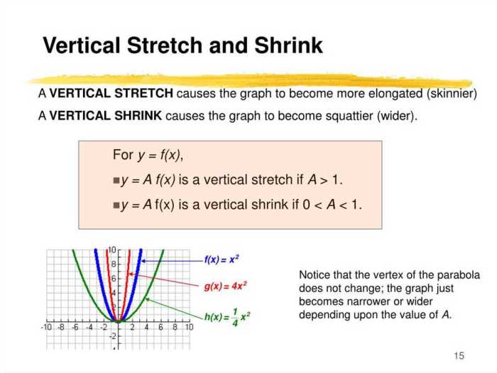 Stretching and shrinking answer key