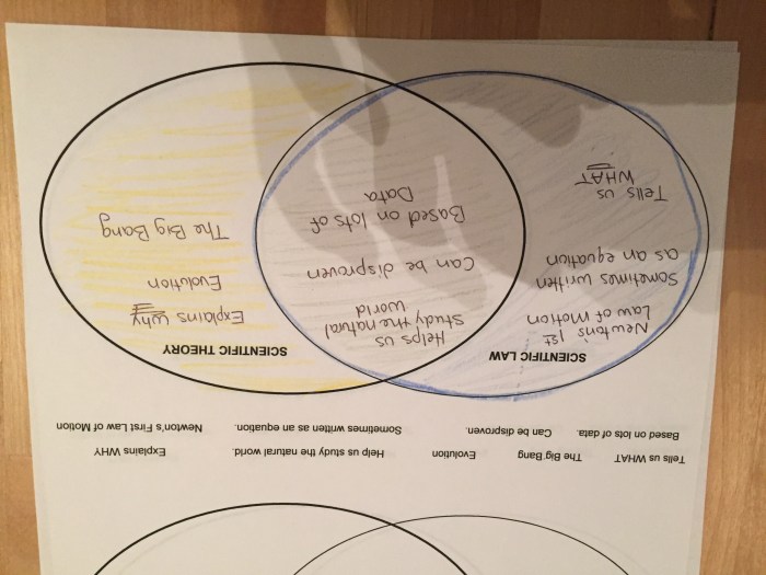 Law and theory venn diagram