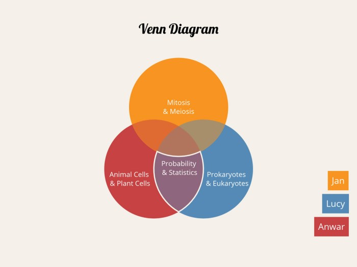 Law and theory venn diagram