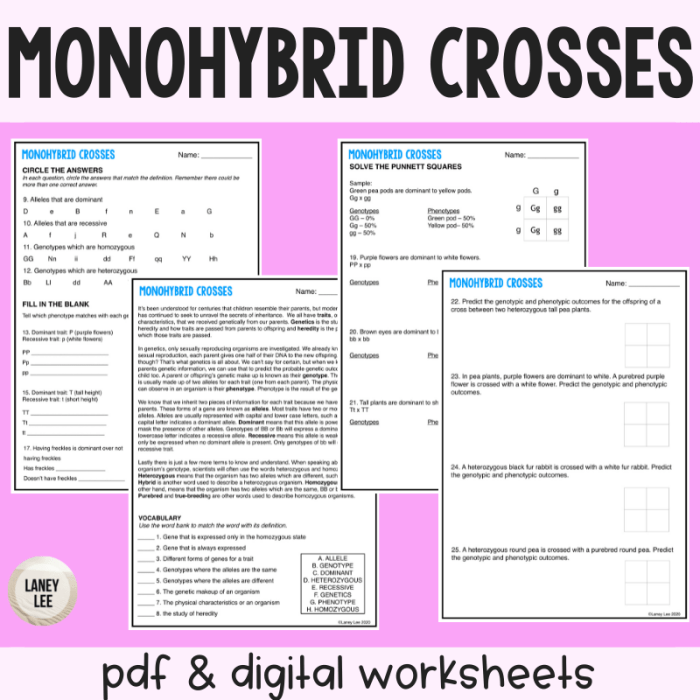 Monohybrid cross practice give peas a chance