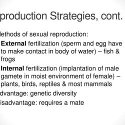 K and r reproductive strategies worksheet answers