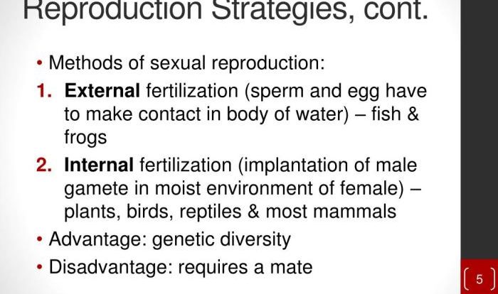 K and r reproductive strategies worksheet answers