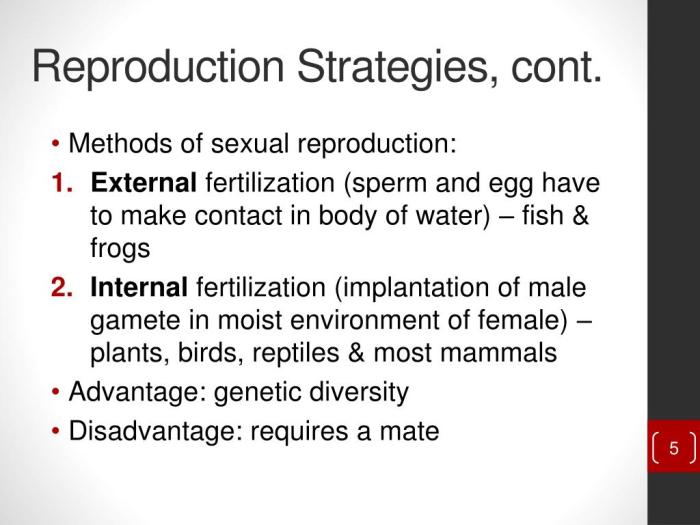 K and r reproductive strategies worksheet answers